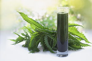 Is Nettle Leaf Good for Urinary Tract Infections? Exploring the Healing Potential of This Herbal Ally